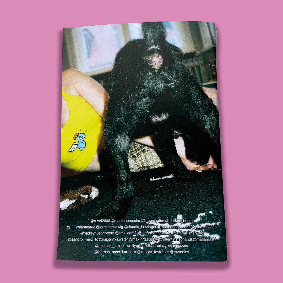 Toy Tonics Pocket Poster Magazine No. 3 - The Photographic Issue