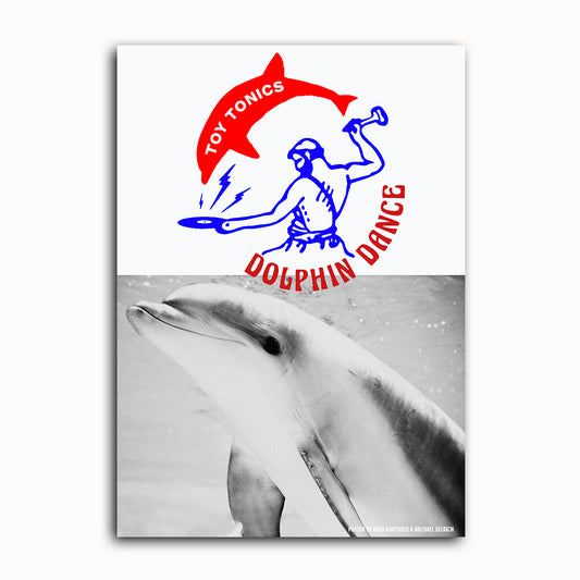 Dolphin Poster